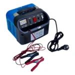 Cargador De Batería 20A