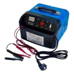 Cargador De Batería 30A